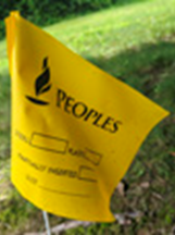 Yellow ‘Peoples’ utility flag marking an underground gas line in a grassy area.