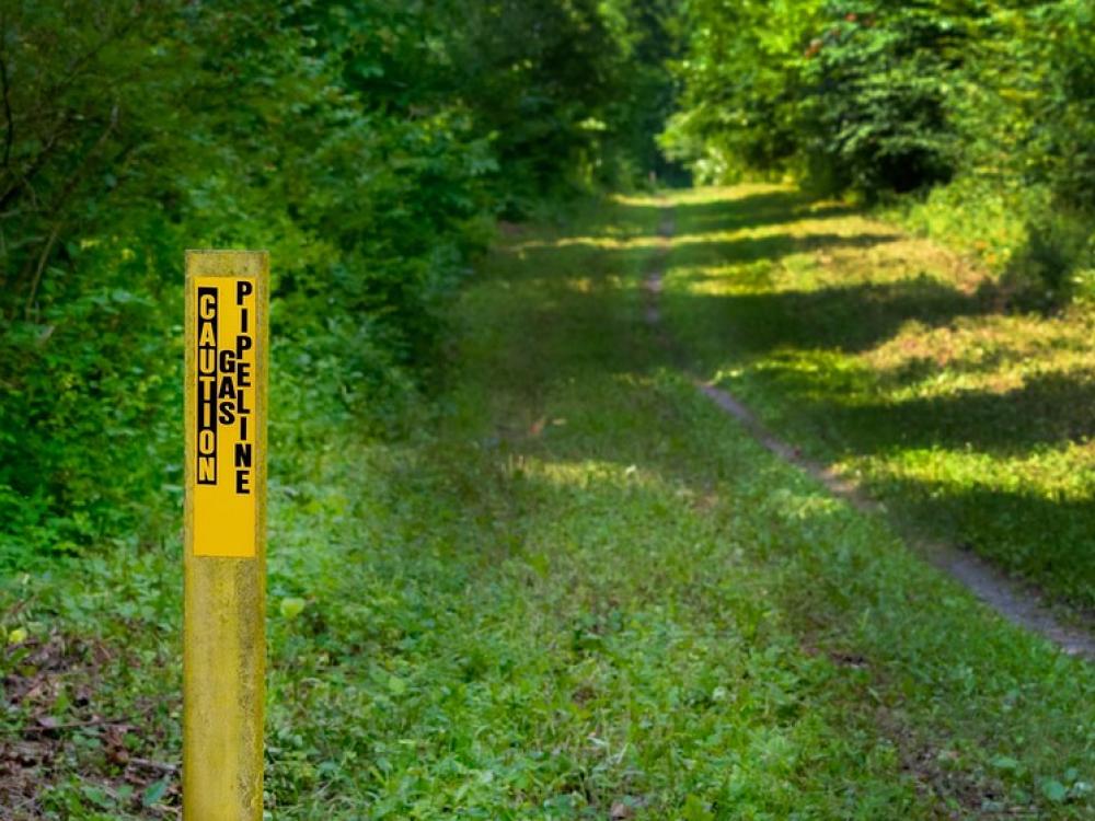 A yellow marker reading “Caution Gas Pipeline” stands beside a grassy path in a wooded area.