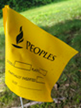 Yellow ‘Peoples’ utility flag marking an underground gas line in a grassy area.
