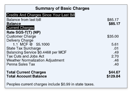 Summary of charges – Breakdown of current charges and total account balance.